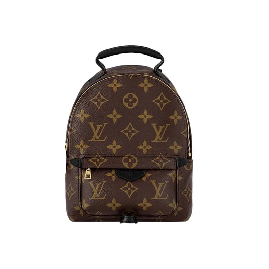 Louis Vuitton Palm Springs Vinyl Backpack
