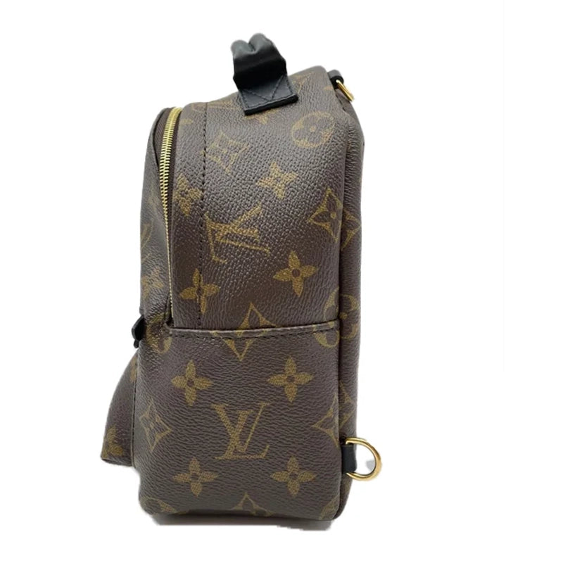 Louis Vuitton Palm Springs Vinyl Backpack