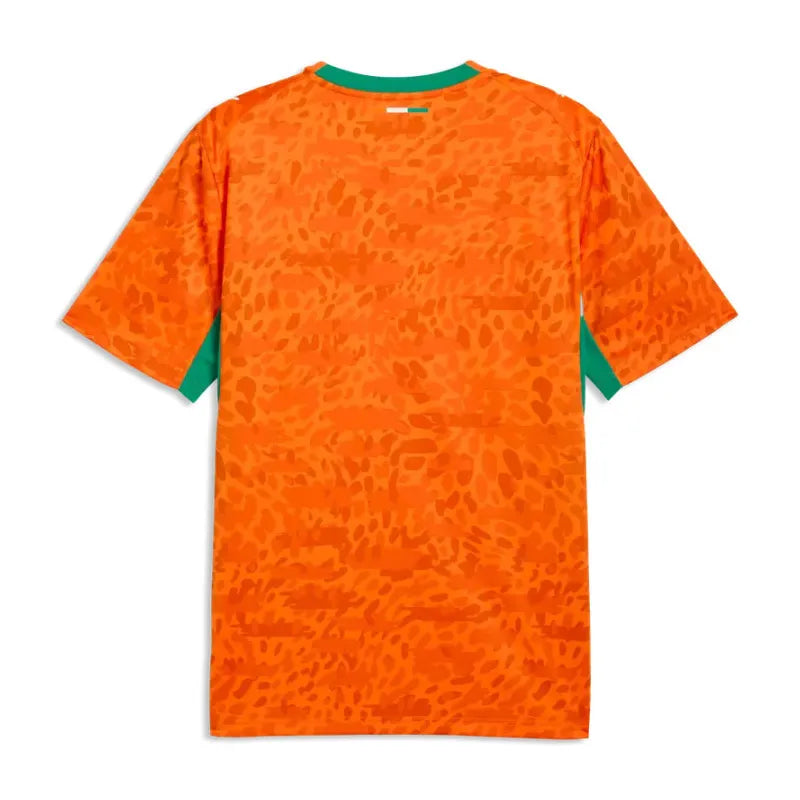 Maillot Côte d'Ivoire domicile 2026 Jersey
