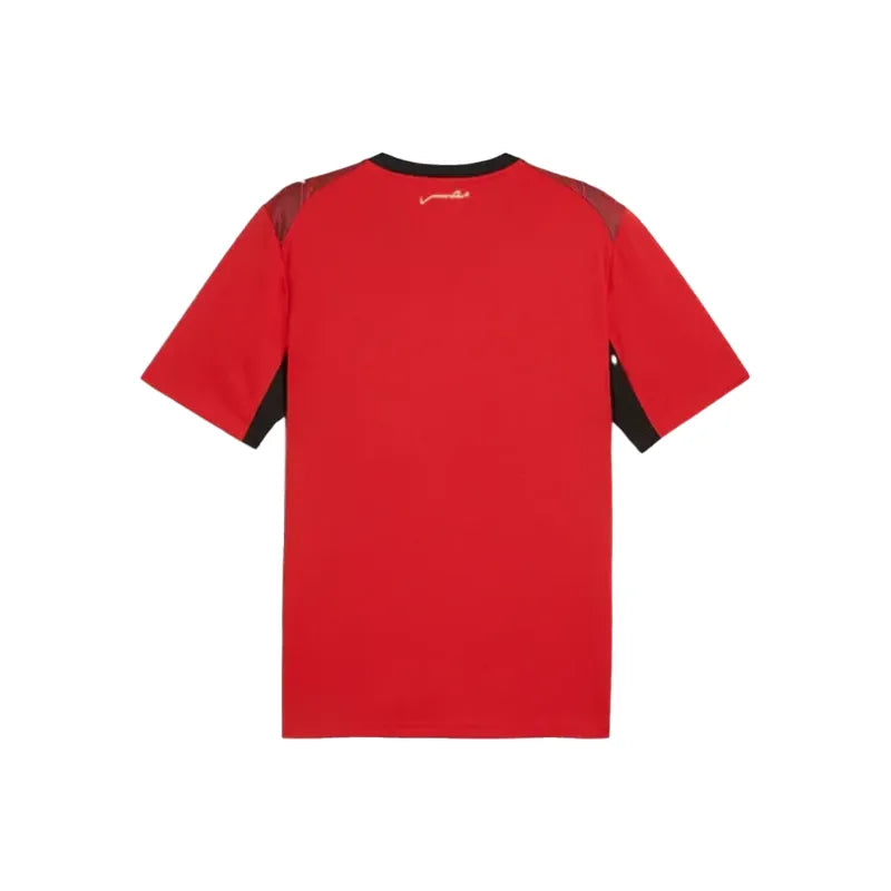 Egypt Jersey World Cup 2026