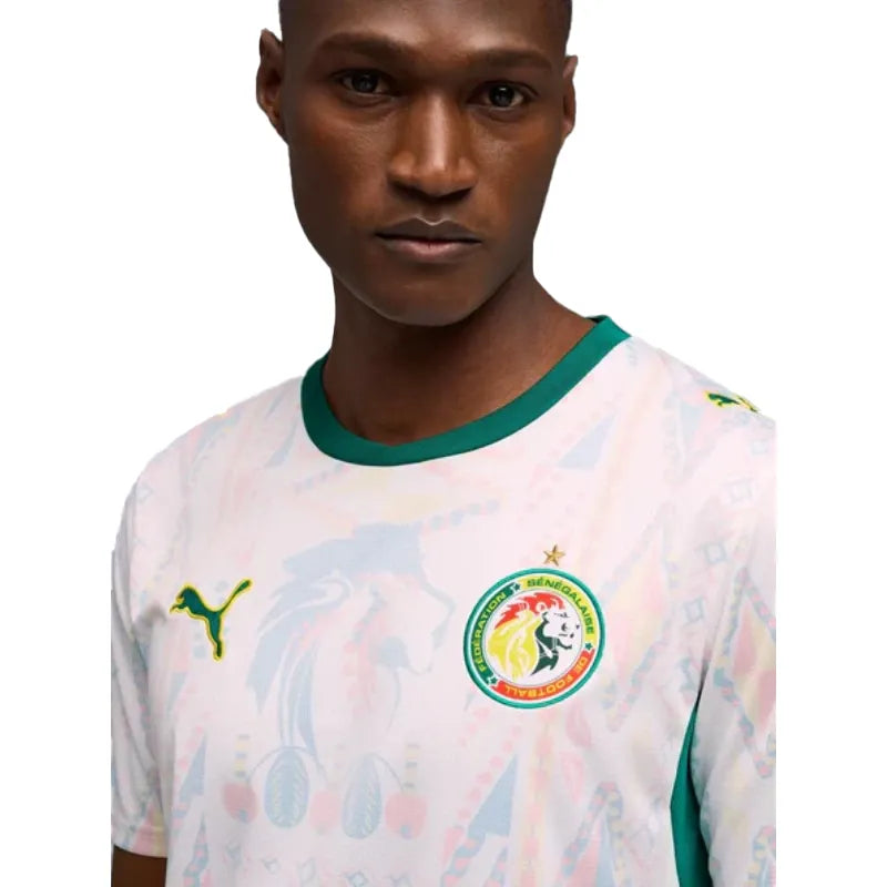 Senegal World Cup Jersey